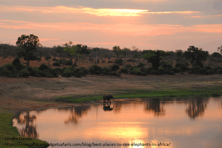 Chobe_National_Park_Delta_Botswana