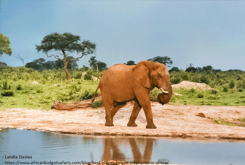 HwangeNationalParkZimbabwe