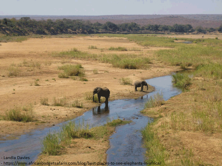 KrugerNationalParkSouthAfrica