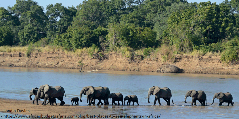 SouthLuangwaNationalParkZambia